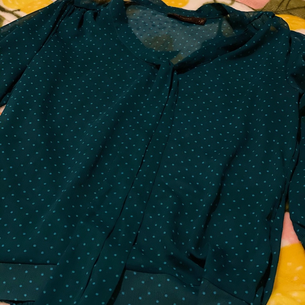 The Limited 3/4 Sleeve Blouse